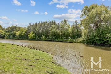 Oak Creek building in Buffalo Grove, IL