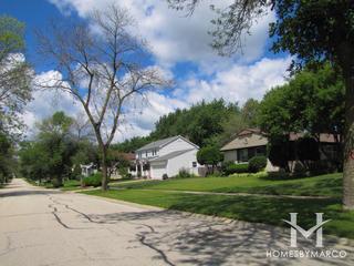 Strathmore Lake subdivision in Buffalo Grove, IL