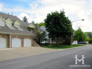 Woodlands of Fiore subdivision in Buffalo Grove, IL