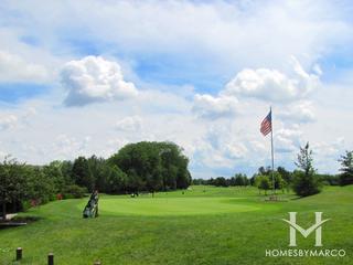 Woodlands of Fiore subdivision in Buffalo Grove, IL