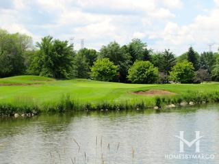 Woodlands of Fiore subdivision in Buffalo Grove, IL