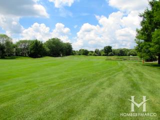 Woodlands of Fiore subdivision in Buffalo Grove, IL
