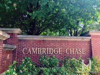 Cambridge Chase