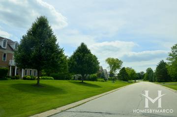 Camden Trace subdivision in Hawthorn Woods, IL