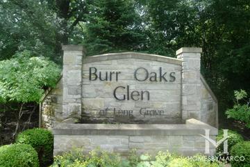 Photos of Burr Oaks Glen subdivision in Long Grove, IL