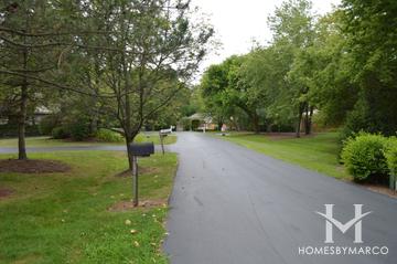 Edgewood Pond subdivision in Long Grove, IL