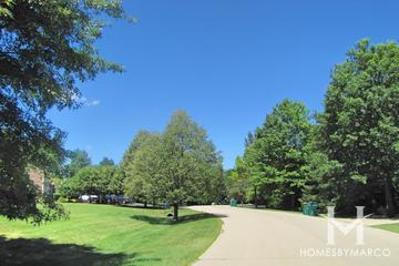 Photos of Estates of Oak Hills subdivision in Long Grove, IL