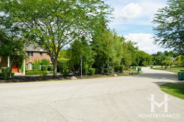Highland Pines subdivision in Long Grove, IL