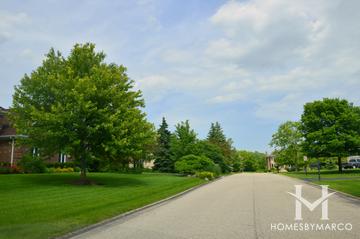 Park Place Estates subdivision in Hawthorn Woods, IL