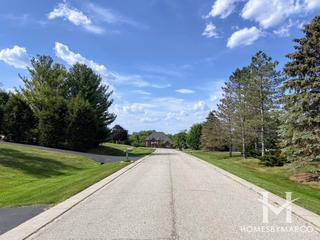 Pheasant Knolls subdivision in Hawthorn Woods, IL