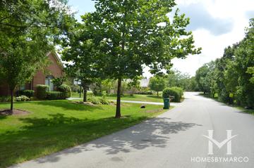 Preserves at Long Grove subdivision in Long Grove, IL