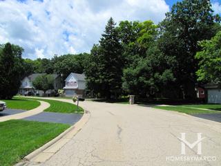 Wooded Glen subdivision in Grayslake, IL