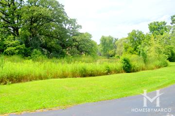 Victorian Oaks subdivision in Long Grove, IL
