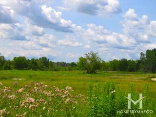White Oak Estates subdivision in Long Grove, IL