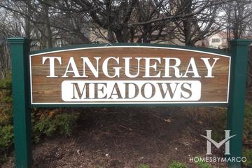 Tangueray Meadows