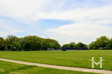 The Reserve subdivision in Montgomery, IL