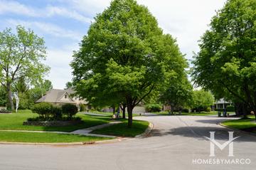 The Reserve subdivision in Montgomery, IL