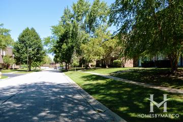 Court of Shorewood subdivision in Vernon Hills, IL