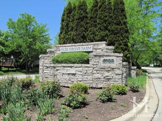 Photos of Olde Grove Farm subdivision in Vernon Hills, IL