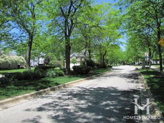 Olde Grove Farm subdivision in Vernon Hills, IL