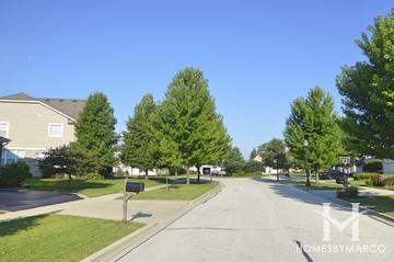 Royal Troon subdivision in the Gregg's Landing neighborhood of Vernon Hills, IL