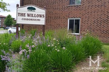 The Willows