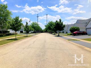 Insignia Ridge subdivision in Mundelein, IL