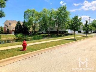 Insignia Ridge subdivision in Mundelein, IL