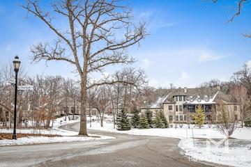 Ivanhoe Estates subdivision in Ivanhoe, IL