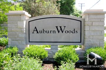 Auburn Woods