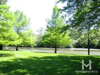 Auburn Woods subdivision in Palatine, IL