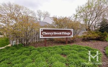 Cherrybrook Village