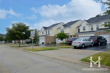 Deerpath Lake subdivision in Palatine, IL