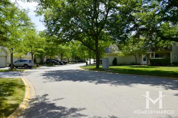 Hamilton Creek subdivision in Palatine, IL