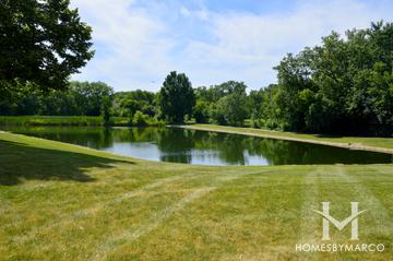 Hamilton Creek subdivision in Palatine, IL