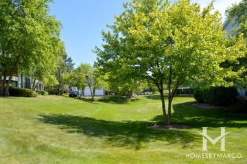 Hamilton Place subdivision in Palatine, IL