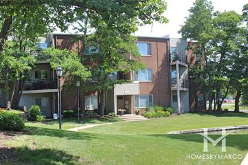 Harvest Run subdivision in Palatine, IL