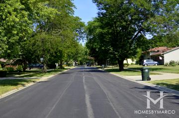 Heatherlea subdivision in Palatine, IL