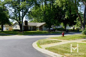 Heatherlea subdivision in Palatine, IL