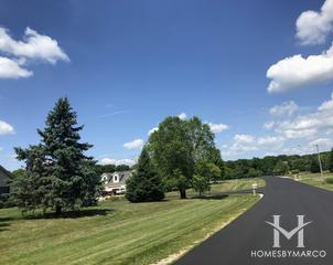 Woods of Silver Springs