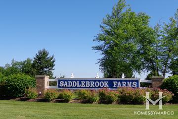 Saddlebrook Farms subdivision in Grayslake, IL