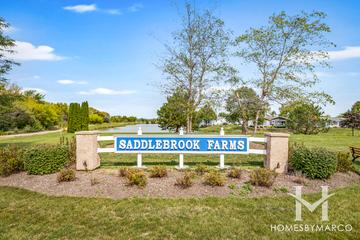 Saddlebrook Farms subdivision in Grayslake, IL