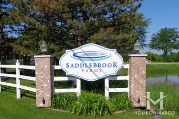 Saddlebrook Farms