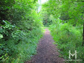 West Trail subdivision in Grayslake, IL