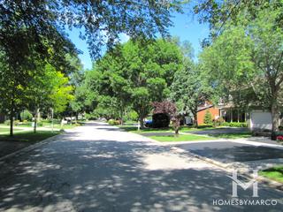 West Trail subdivision in Grayslake, IL