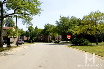 Mission Creek subdivision in Palatine, IL