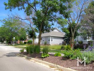 Parkside on the Green subdivision in Palatine, IL