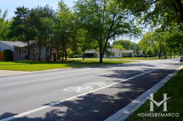 Pepper Tree Farms subdivision in Palatine, IL