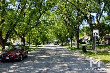 Pepper Tree Farms subdivision in Palatine, IL