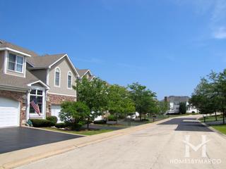 Peregrine Lake Estates subdivision in Palatine, IL